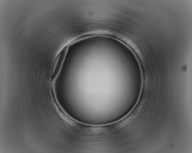 X0000090611425200707311213