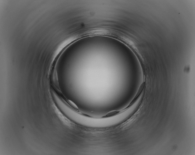 X0000090611426200707311213