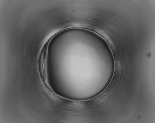 X0000090611427200707311213