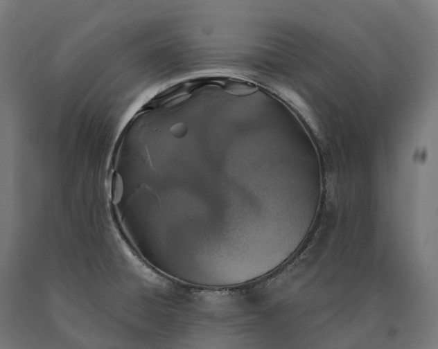 X0000090611428200707311213