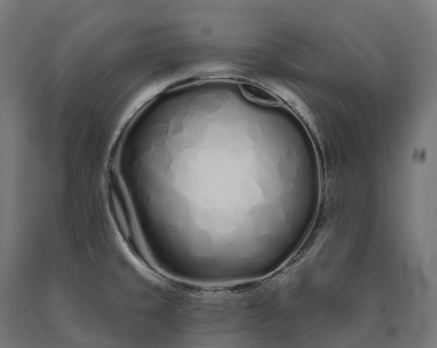 X0000090611429200707311213