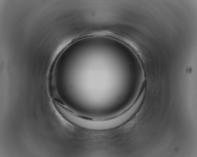 X0000090611430200707311213