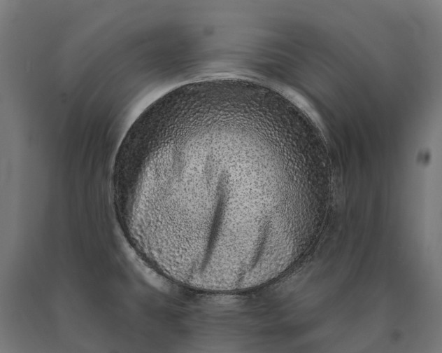 X0000090611431200707311213