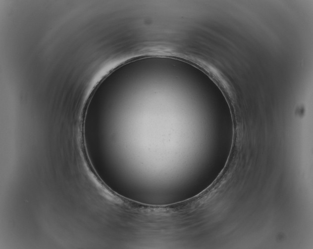 X0000090611432200707311213