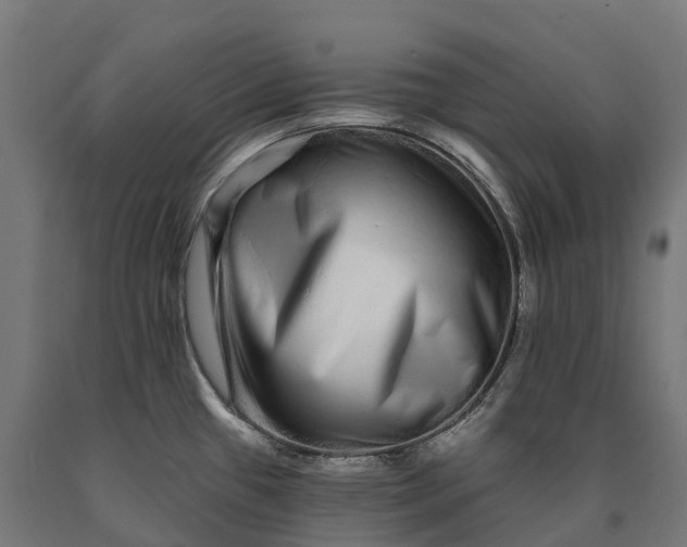 X0000090611433200707311213