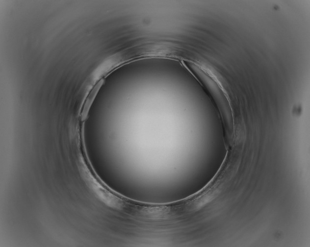 X0000090611434200707311213