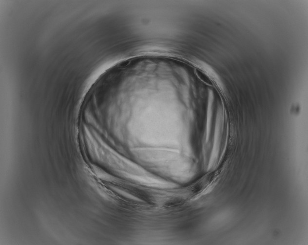 X0000090611435200707311213