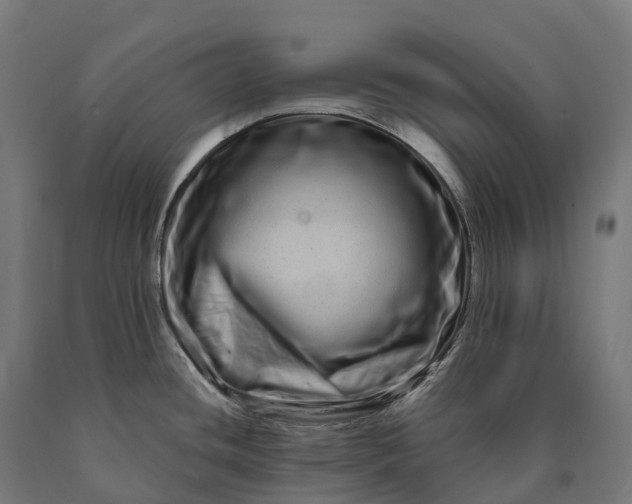 X0000090611436200707311213