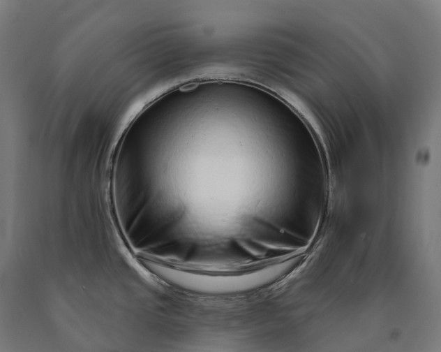 X0000090611437200707311213