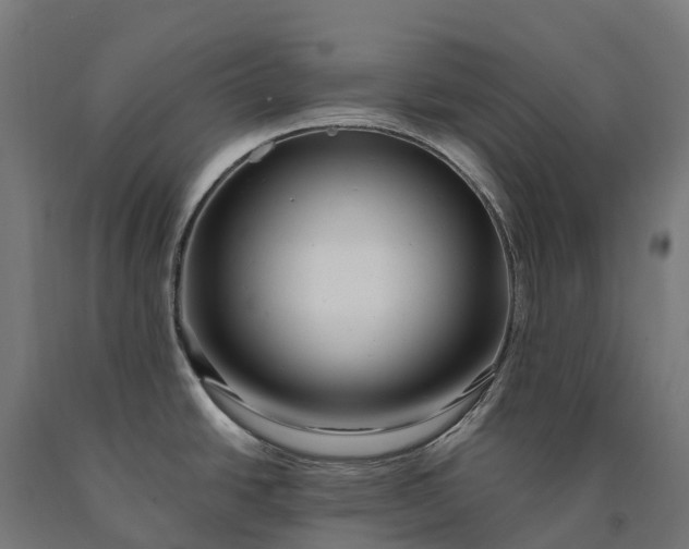 X0000090611438200707311213