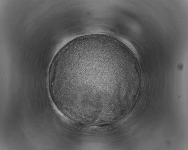 X0000090611439200707311213