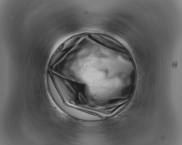 X0000090611440200707311213