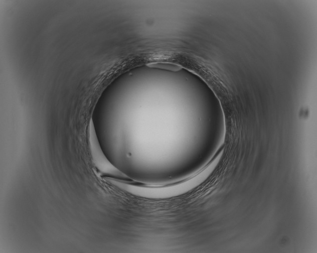 X0000090611441200707311212