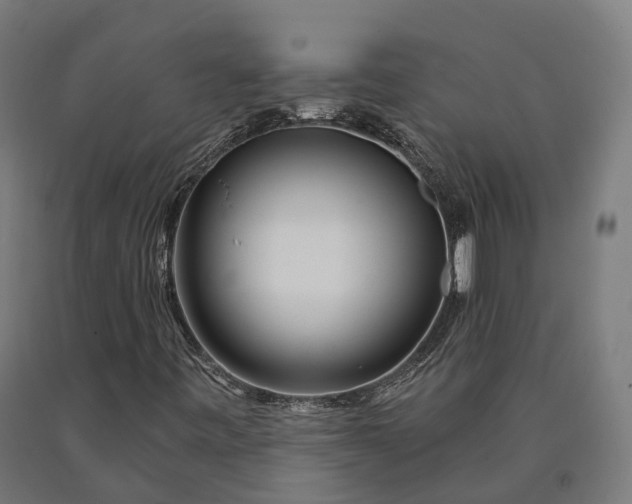 X0000090611443200707311212