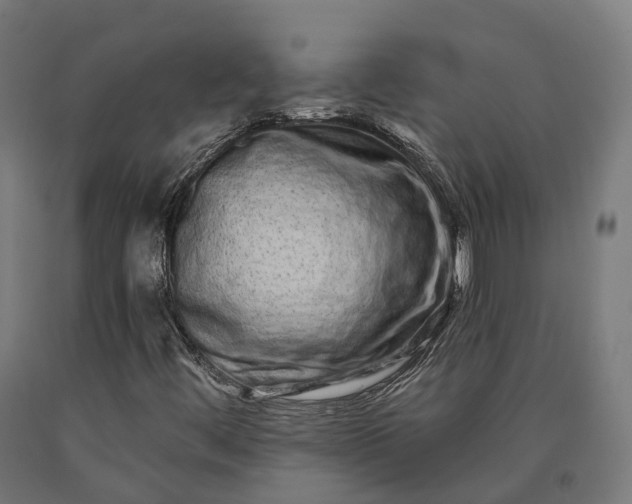 X0000090611444200707311212