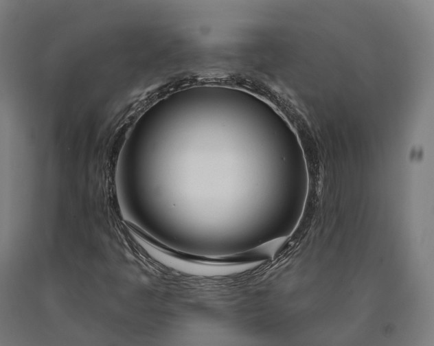 X0000090611445200707311212