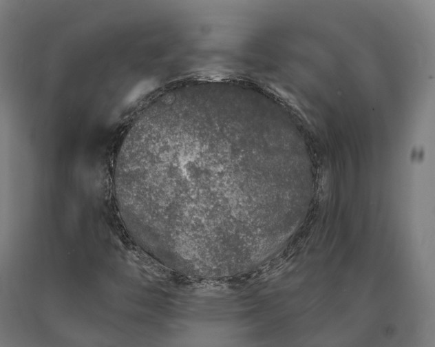 X0000090611446200707311212