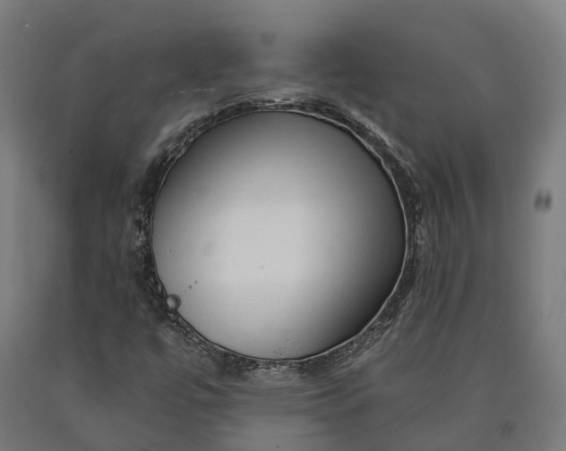 X0000090611447200707311212