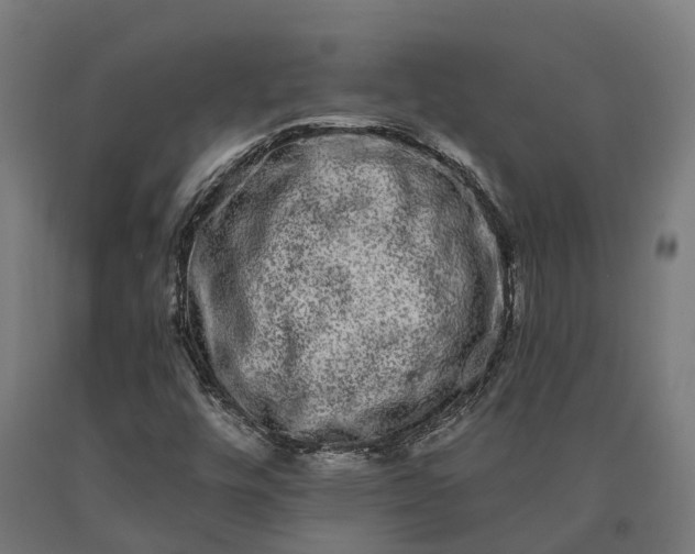 X0000090611448200707311212