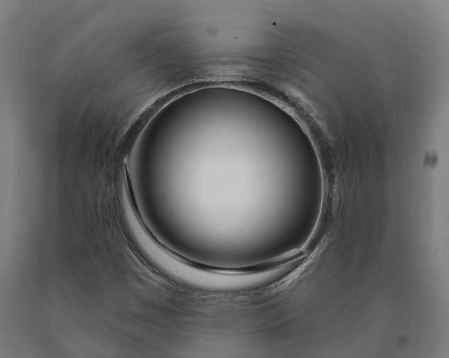 X0000090611449200707311212