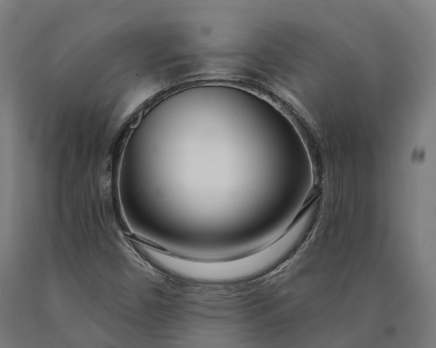 X0000090611450200707311212