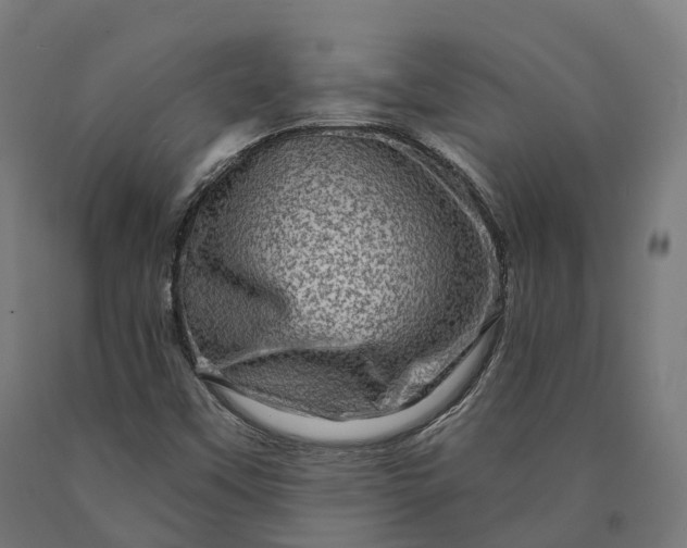 X0000090611451200707311212