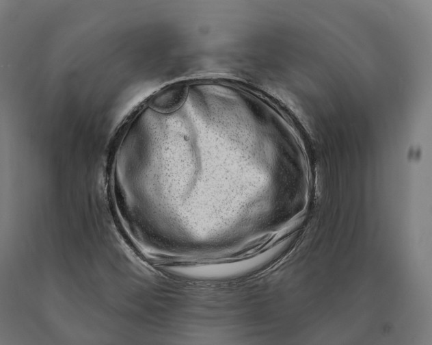 X0000090611452200707311212