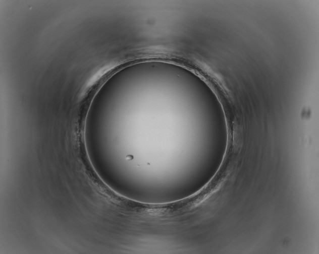 X0000090611453200707311212