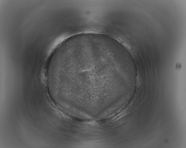 X0000090611454200707311212