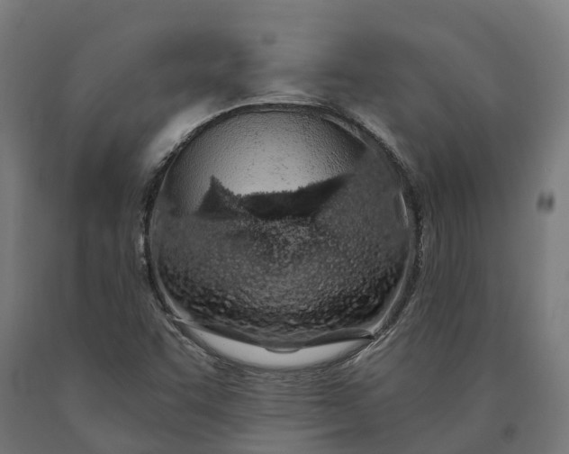 X0000090611455200707311212