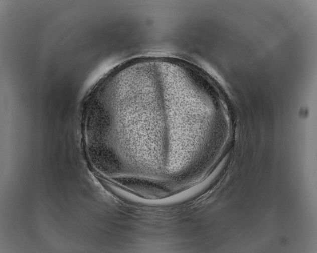 X0000090611456200707311212