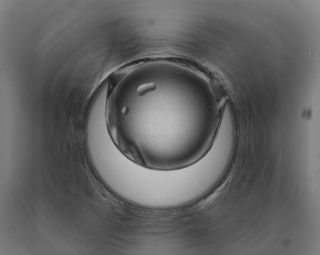 X0000090611457200707311212