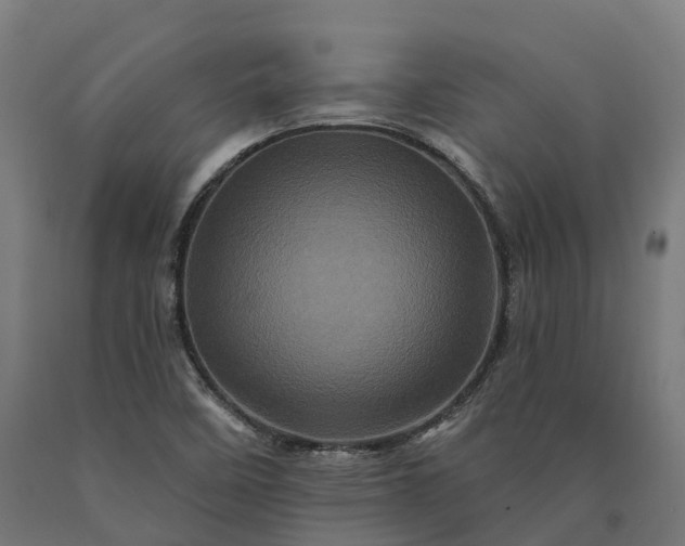 X0000090611458200707311212