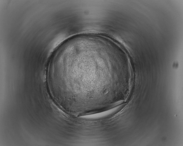 X0000090611459200707311212