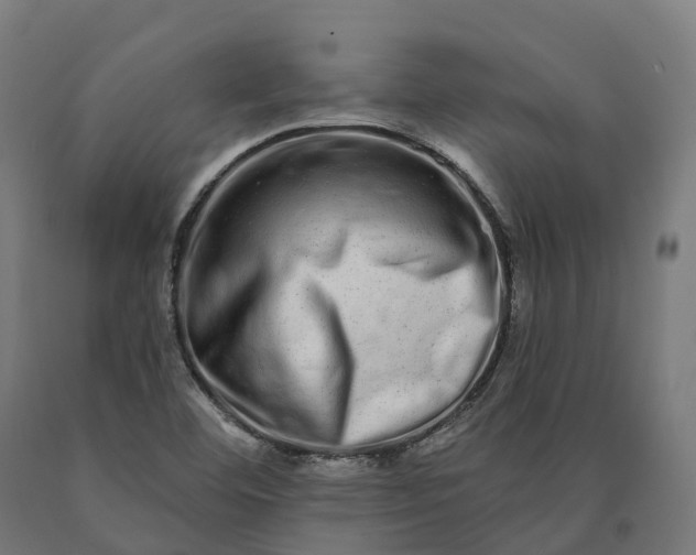 X0000090611460200707311212