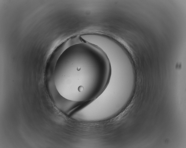 X0000090611461200707311212