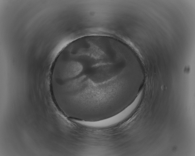 X0000090611463200707311212