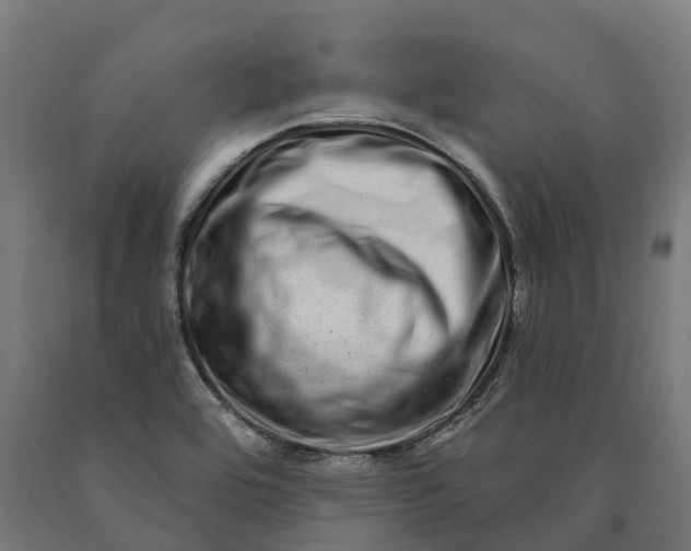 X0000090611464200707311212