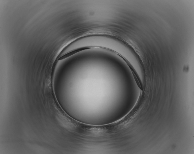 X0000090611465200707311212