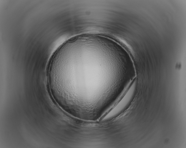 X0000090611467200707311212