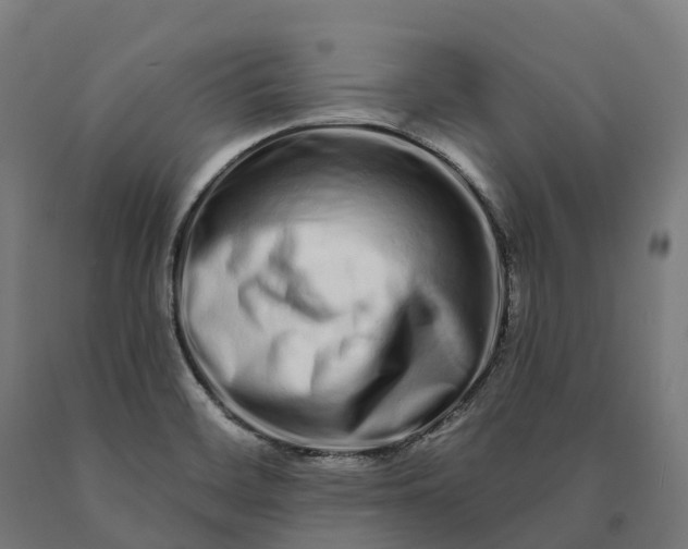 X0000090611468200707311212