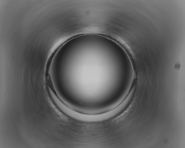 X0000090611469200707311212