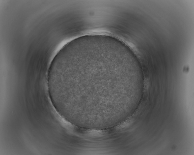 X0000090611470200707311212