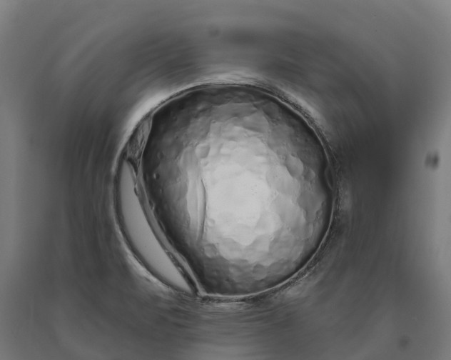 X0000090611471200707311212