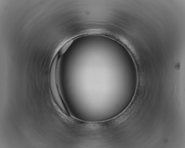 X0000090611473200707311212