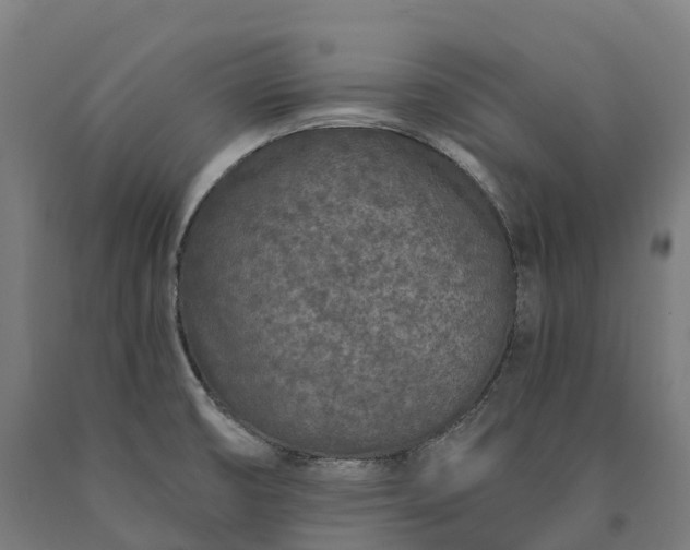 X0000090611474200707311212