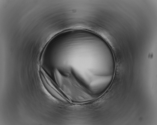 X0000090611476200707311212