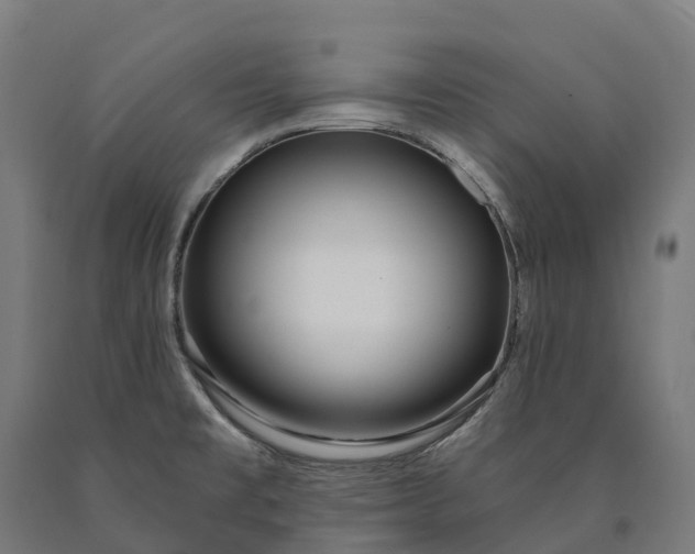 X0000090611477200707311212