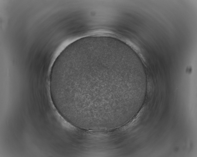 X0000090611478200707311212