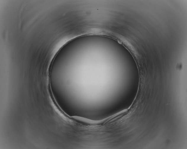 X0000090611479200707311212